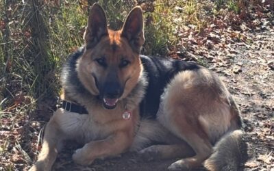 Days 7 to 18 Pagosa Springs