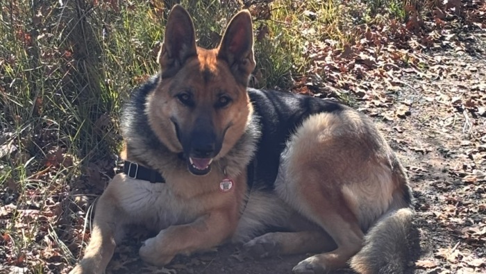 Days 7 to 18 Pagosa Springs